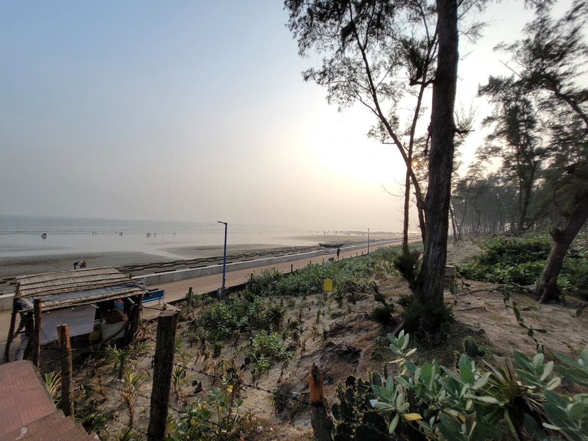 Предложение о бойкоте компаний Маска на заседании городского совета обернулось иронией